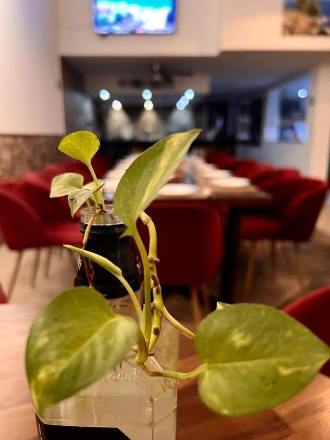 Deluxe Condos 42 Playa del Carmen Ngoại thất bức ảnh